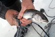 fisherman