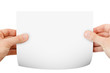 blank paper background in hand