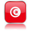 Tunisia Flag Square Button (Tunisian Tunisie Vector Reflection)