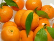 Foto: Frische Manderinen mit Blättern Frische Manderinen mit Blättern
