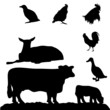 animaux de ferme vecteur