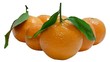 Foto: Mandarinen freigestellt Mandarinen freigestellt