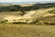 Foto: Typische toskanische Landschaft in der Crete Typische toskanische Landschaft in der Crete