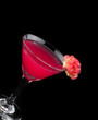 Cocktail drink on fruit/ isolated