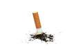 cigarette butt isolated