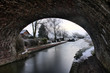 Frosty winter morning