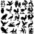 Vector: pieces of detailed vectoral bird silhouettes. pieces of detailed vectoral bird silhouettes.