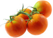 tomates mûres grappe fond blanc tomates mûres grappe fond blanc