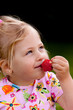 Child eating a strawberry in the garden