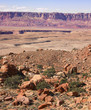 Desert Landscape with Plateau in Background