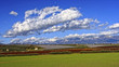 green field