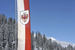 Tirol Fahne