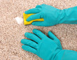 Photo: Cleaning carpet Cleaning carpet