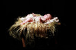 Jesus swaddled in manger