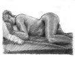 Charcoal drawing art of sleeping nude female Charcoal drawing art of sleeping nude female