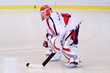 hockey goalie