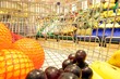 Shopping, Einkaufswagen, Lebensmittel-Shop