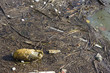 water contamination