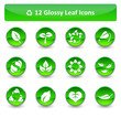 Glossy Leaf Icons Glossy Leaf Icons