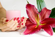 Hands with manicure holding pink candle and flower