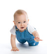 crawling baby boy crawling baby boy