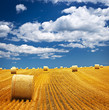 Farm field with hay bales Farm field with hay bales