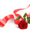 Red Rose Corner Red Rose Corner