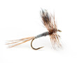 The Adams Dry, world's most popular dry fly for trout