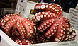 Octopus close-up in Tokyo