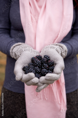 Photo: A young woman holding a handful of blackberries A young woman holding a handful of blackberries