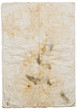 old paper
