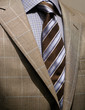 Light grey checkered jacket, blue shirt and tie.