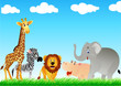 Safari