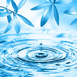 Wellness, Spa and Beauty Wellness, Spa and Beauty