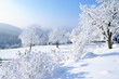 Winterlandschaft in Österreich