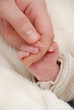 Baby Hand