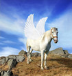 Pegasus