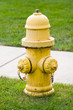 Yellow fire hydrant on the green grass