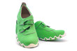 Green shoe