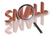 small search