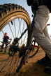 relax biking