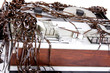music set