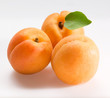 three apricots on white background