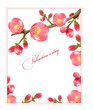 Holiday background. Spring flowering quince..