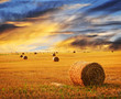 Golden sunset over farm field Golden sunset over farm field
