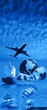 Airplane over Blue sky