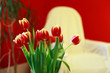 rote Tulpen im Wohnzimmer