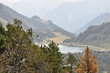 lac
