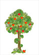stylized apple tree