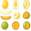Vector: Melon Melon